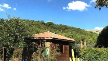 Al Pie Del Morro - Merlo