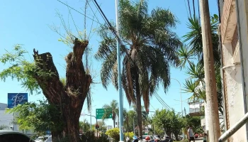 Cerkide - Corrientes