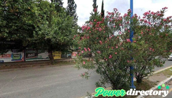 Don Mateo Panaderia - San Miguel De Tucumán
