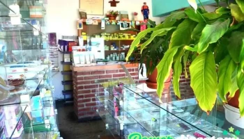 Farmacia Busso - Buena Esperanza