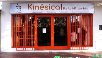 Kinésica