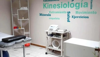 Kinesiología Lic. Ayelen Ferreira Veiga - Paraná