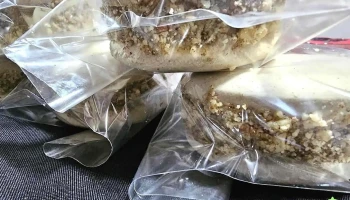 Leticiana. Productos de Panaderia Sin gluten y sin lácteos - Yerba Buena