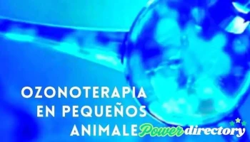 Movet Fisioterapia, Rehabilitación y Ozonoterapia Veterinaria - Mendoza