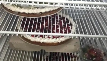Panaderia Areli - Tintina