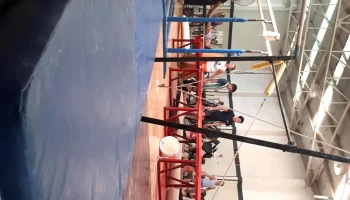 Pulso Gimnasio, natación y Kinesiologia - Bqc