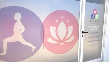 Wellness Kinesiologia - Gualeguaychú