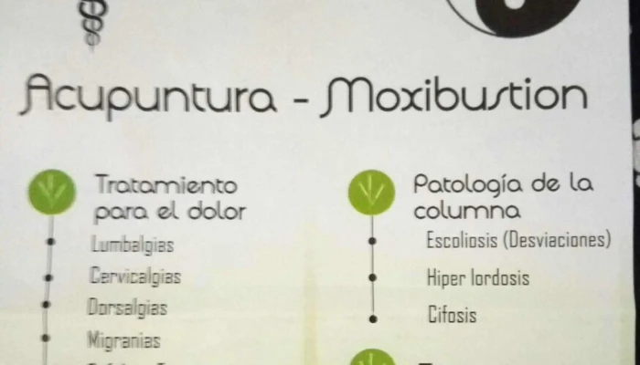 Acupuntura Dr Alejandro Mario Saab Catalogo - San Miguel de Tucumán
