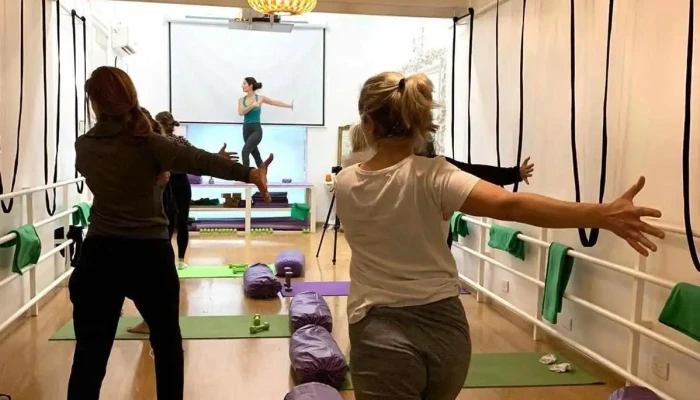 Ankar Salud- Kinesiología, osteopatia y suelo pélvico - Cdad. Autónoma De Buenos Aires