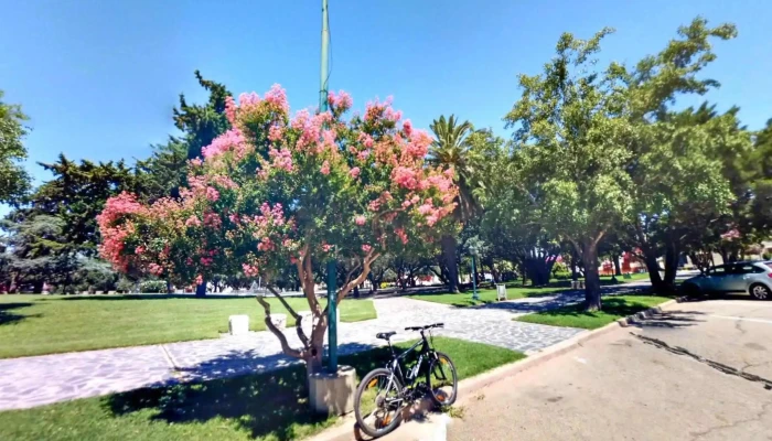 Banco De La Provincia De Cordoba -  Instagram - Adelia María