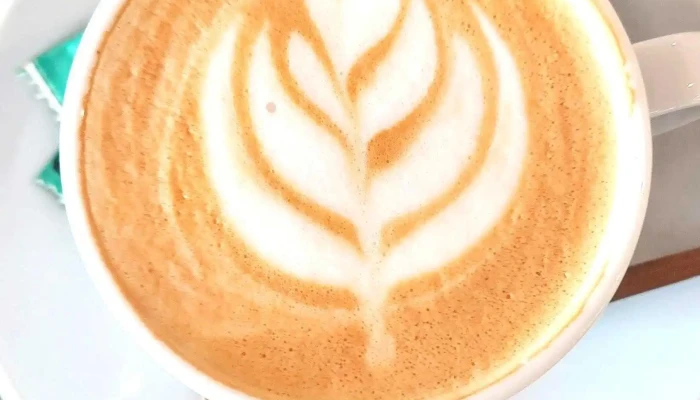 Bruto Panaderia Capuchino - San Rafael