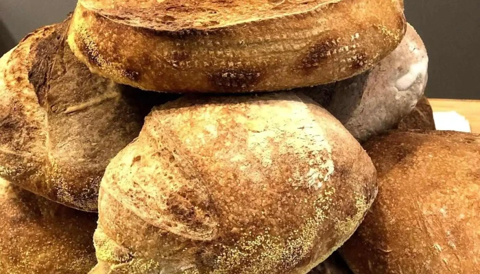 Bruto Panaderia Comida Y Bebida - San Rafael