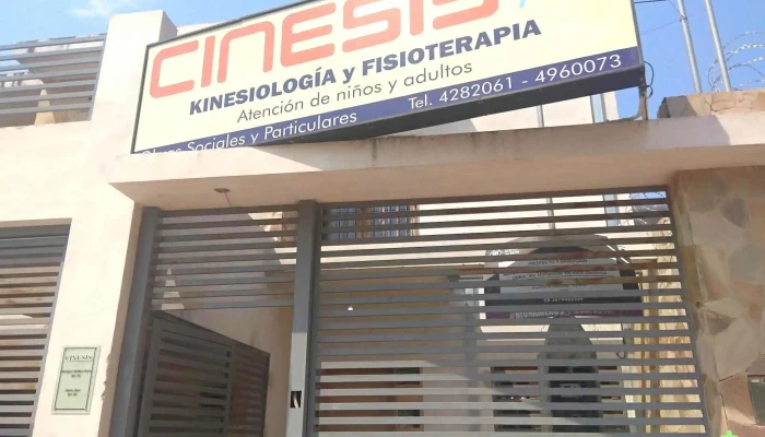 Cinesis 1 Kinesiologia Y Fisioterapia Promocion - Salta