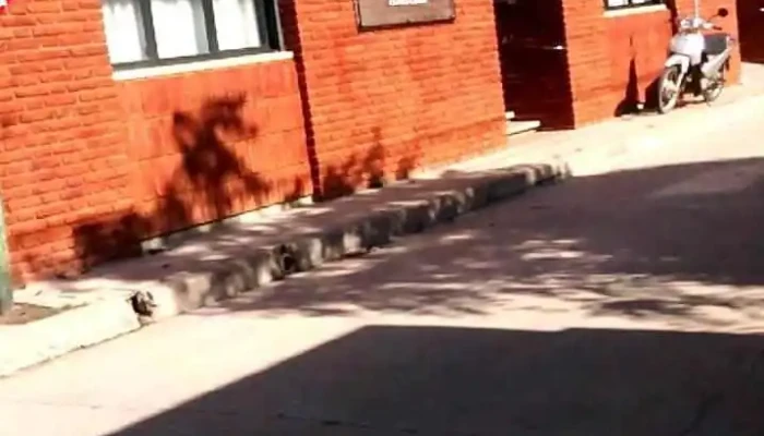 Clinica Charif -  Abierto Ahora - Laguna Larga