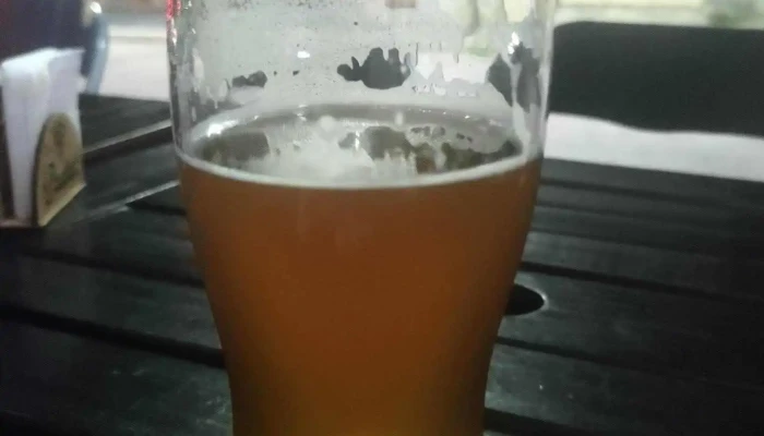 Diastasa Cerveza Artesanal -  Comida Y Bebida - Villa Mercedes