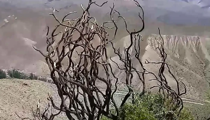 El Calafate -  Videos - San Miguel de Tucumán