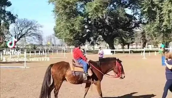 Fundacion La Vidalita Equinoterapia Tucuman Videos - San Miguel de Tucumán