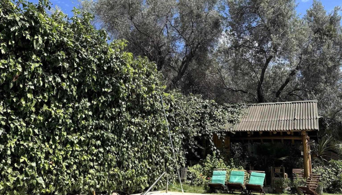 Hotel Rustico Cerro Del Valle -  Servicios - Villa San Agustín