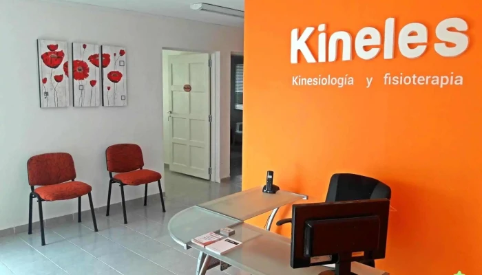 Kineles - Ing. Federico Saufal