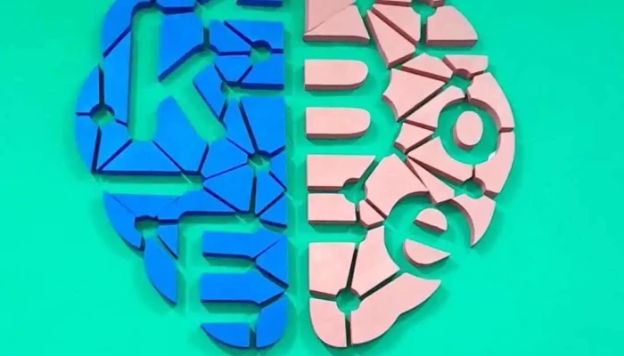 Kinemove Kinesiologia Videos - Barranqueras