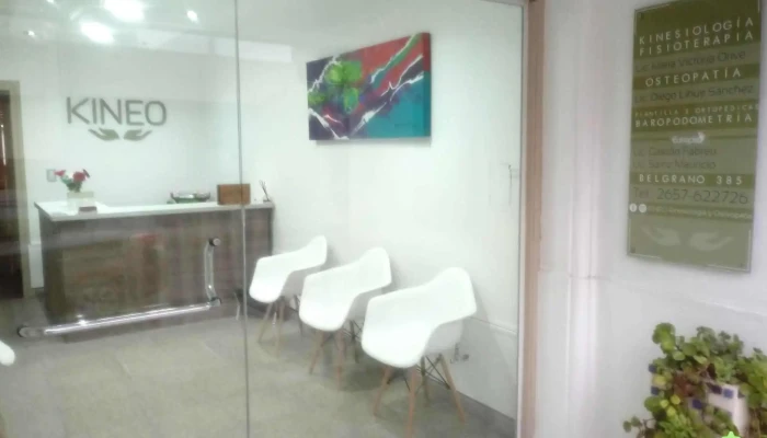 Kineo Kinesiologia Y Osteopatia -  Direccion - Villa Mercedes