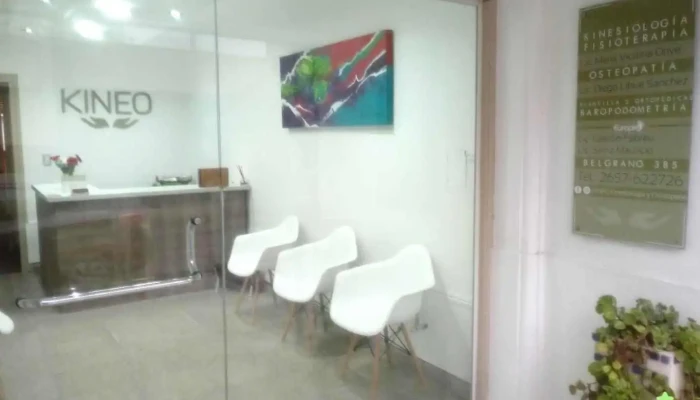 Kineo Kinesiologia y Osteopatia - Villa Mercedes