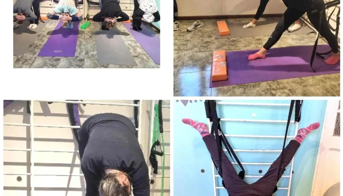 Kinesiologia Integral Licbarrio Karina Fitness - Devoto