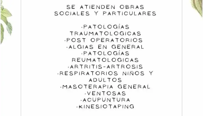 Kinesiologia Y Fisioterapia Del Propietario - Salta