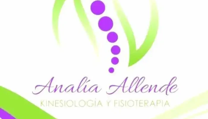 Kinesiologia Y Fisioterapia Lic Analia Allende Del Propietario - Villa Carlos Paz