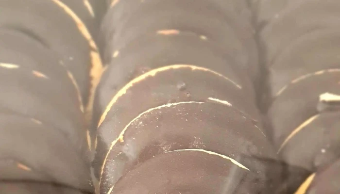 Las Delicias Del Chorrillo Numero - San Luis