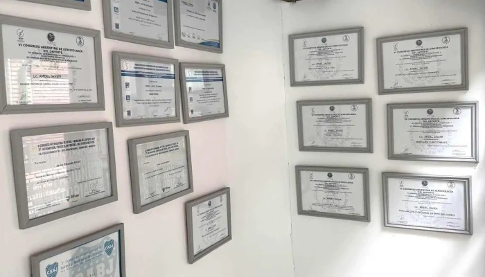 Lic Javier Ameri Kinesiologia Y Fisioterapia Del Propietario - Laboulaye