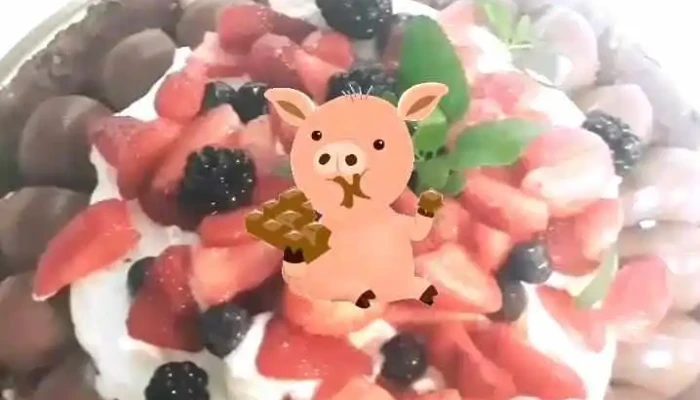 Los Zoni Alimentacion Saludable Videos - Merlo