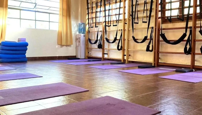Mavi Dinamicas Para La Salud   Terapia Postural Activa Sitio Web - Anisacate