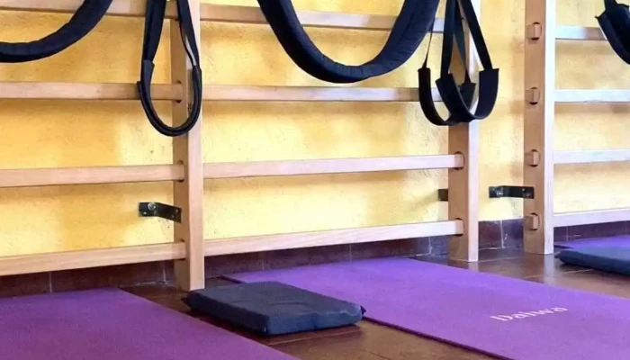 Mavi Dinamicas Para La Salud   Terapia Postural Activa Videos - Anisacate