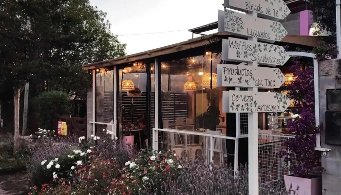 Mocca Cafeteria Pasteleria Del Propietario - Merlo