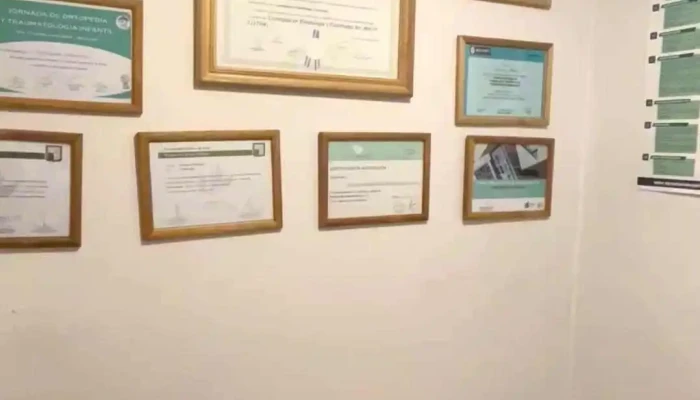 Mr Kinesiologia Y Osteopatia Del Propietario - San Luis