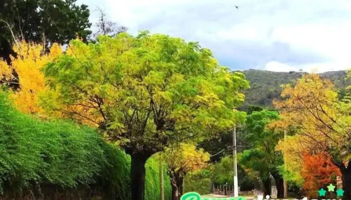 Municipalidad De Valle Hermoso -  Fotos - Valle Hermoso