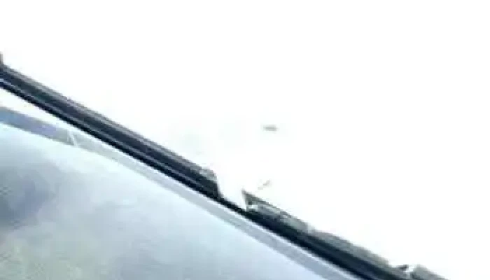 Norquinco Videos - Ñorquinco