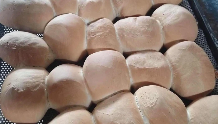 Panaderia La Nueva Comida Y Bebida - Col. Santa Rosa