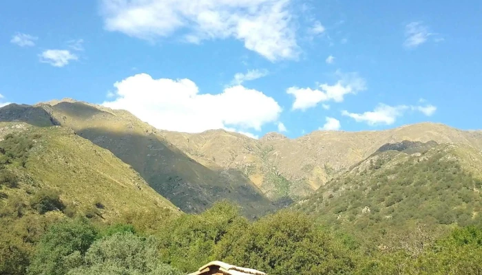 Panaderia Reina De La Paz Precios - Merlo