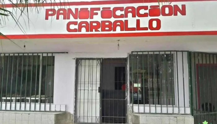 Panificacion Carballo - Yerba Buena
