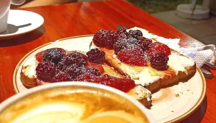 Paradisi Cafe Mas Recientes - Yerba Buena