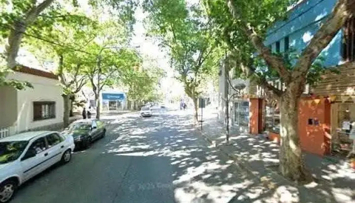 Pistacho -  Como Llegar - Villa Mercedes