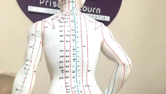 Priscila Tourn Osteopatia -  Articulacion - Sunchales