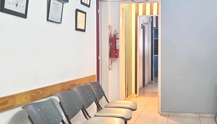 Rehab Kinesiologia Horario - Moreno