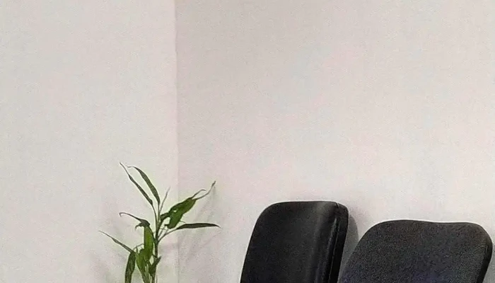 Rt Kinesiologia Y Rehabilitacion Del Propietario - Mburucuyá