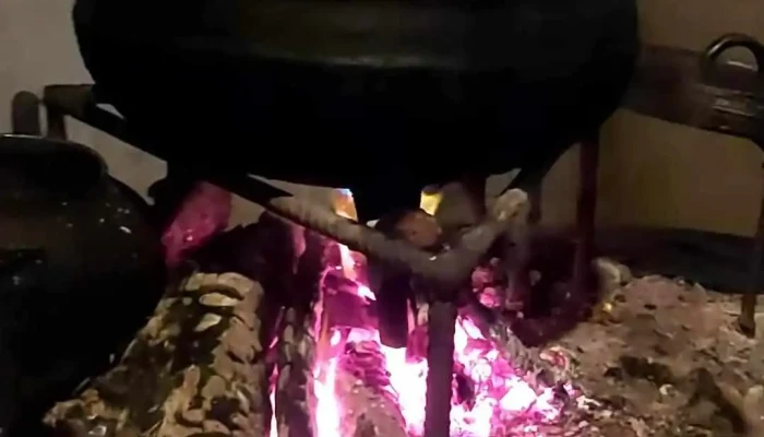 Sabores De Vanesa Farina Videos - Concepción