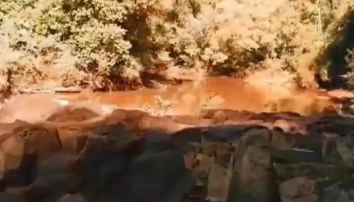 Santo Pipo -  Videos - Santo Pipo