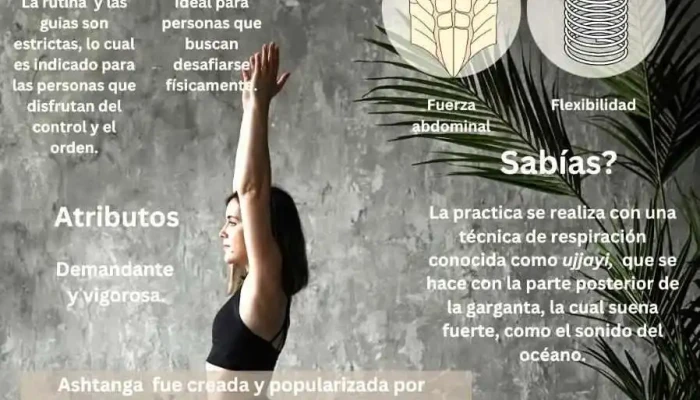 Studio 247 -  Yoga - Choele-choel