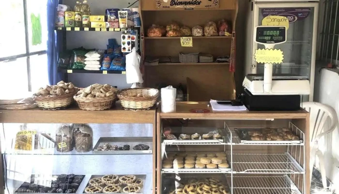 Sucursal Panaderia Del Valle Ll Como Llegar - San Luis
